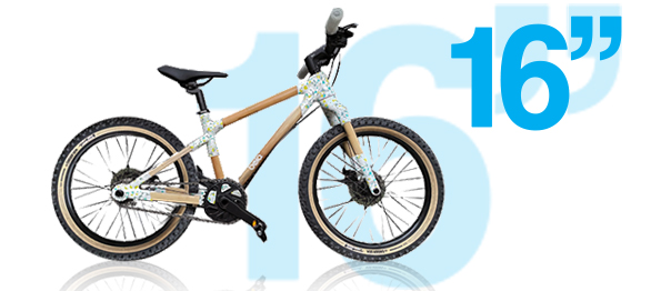 a mountainbike for kids